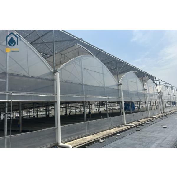 UV Resistant PE Film Greenhouse Customized Herb Greenhouse With Hydroponic System