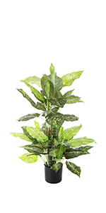 Artificial Green Dieffenbachia Plant 2 Pack - Faux Indoor Plant Spray - EverGreen Greenery For Home Or Office Decor