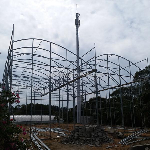 2-5m Shoulder Height High Tunnel Sawtooth Greenhouse for Commercial Plant Cultivation