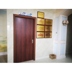 Dixin Technology (Guangdong) Co. , Ltd.
