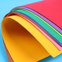 Charge statique dégradable de disque transistorisé Eva Foam Material Custom Printed anti ignifuge