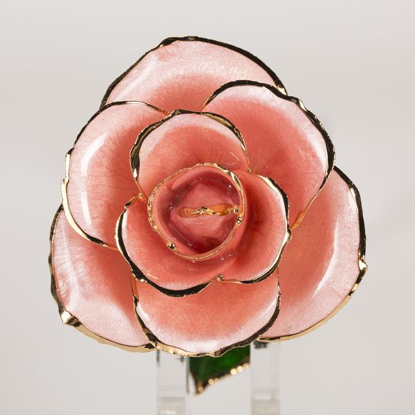 Wholesale Real Rose Dipped 24k Gold  Preserved Fresh Flower Peach pink Everlasting Rose for Valentine's Day, Birthday Gifts
