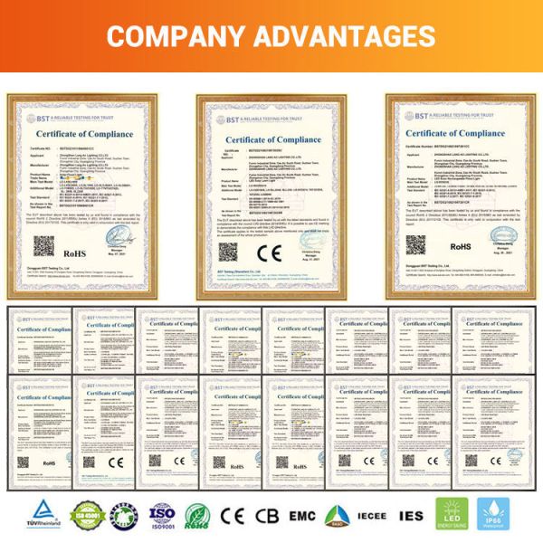 Lampes paysagères solaires en aluminium avec température de couleur blanc pur et panneau solaire