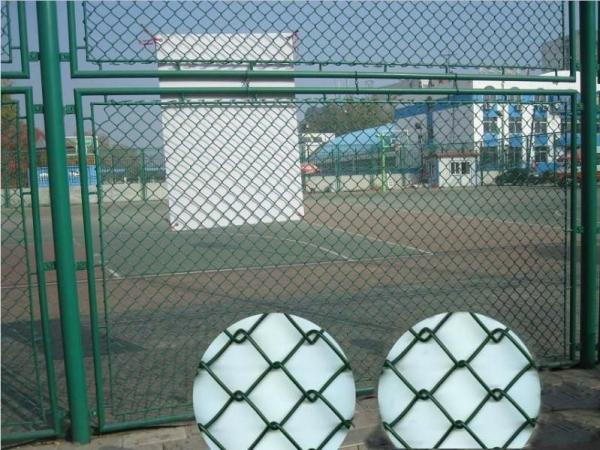China supplier chain link fencing,sport yard fence,Security Fencing