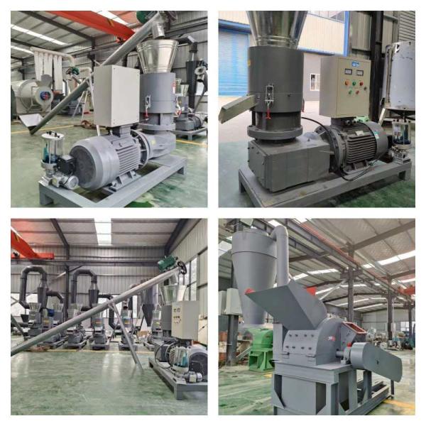 CE en bois en bois de machine de production de granule du moulin 380V de granule de matrice de l'appartement 500kg/H
