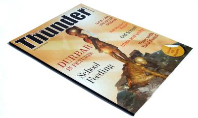 Huile enduite ou brillante/mate UV disparaissant des magazines du commerce d'impression de papier excentré
