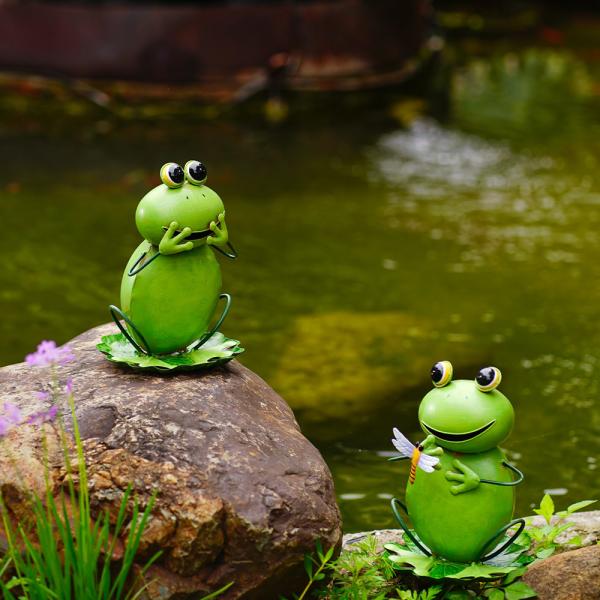 Сад лягушки металла утюга животный орнаментирует восхитительное и Lifelike