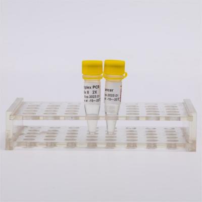Professional Grade Molecular Biology DNA Polymerase I