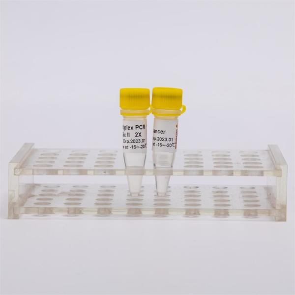 Professional Grade Molecular Biology DNA Polymerase I