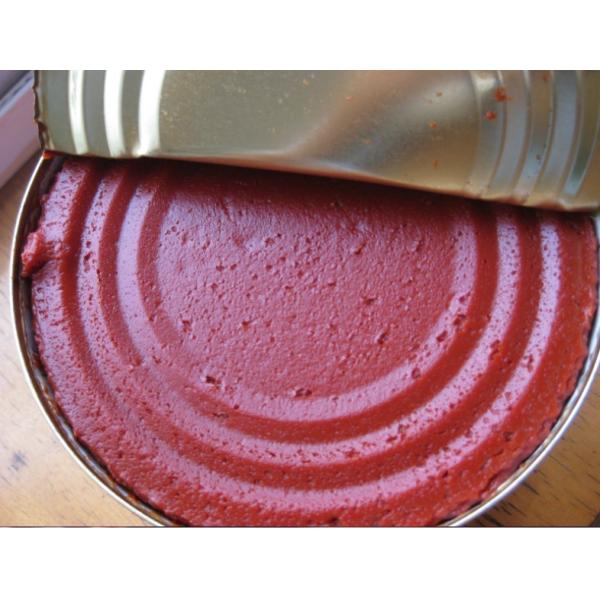 2200g tomato paste in can