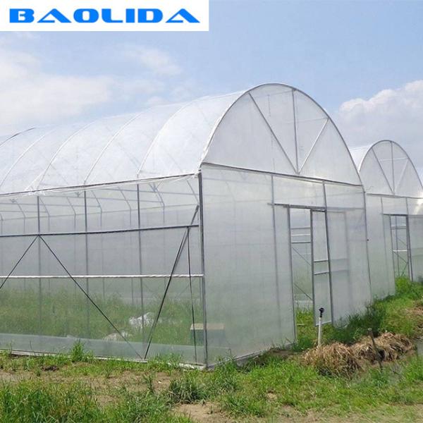 Serre chaude en plastique de technologie de grande taille poly/serre chaude simple agricole d'envergure