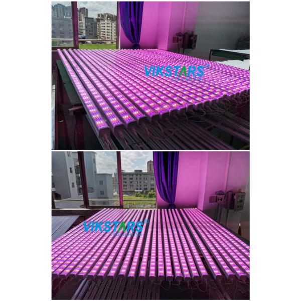 пурпурный завод СИД 12pcs растет прокладки AC240V 130lm/w светов для семени цветка