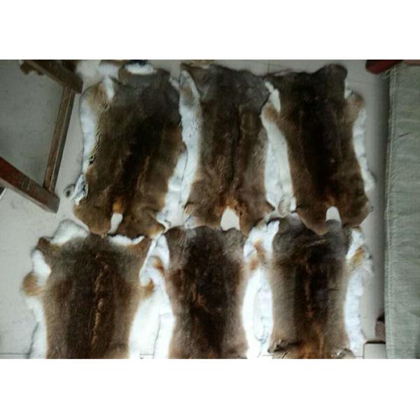 La piel mullida teñida del conejo de Rex pela la densidad pesada los 30*40cm con el logotipo modificado para requisitos particulares