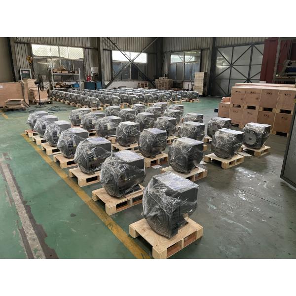 собственная личность генератора AC одиночной фазы 80kw 80kva Effeciency возбудила альтернатор
