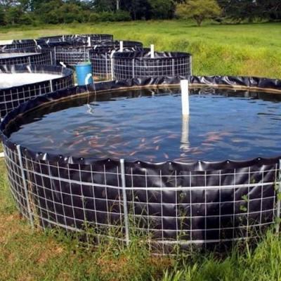 0.75mm 1.0mm HDPE Geomembrane Pond Liner para Biofloc Tank Personalizavel e à prova d'água