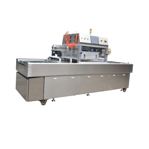 Nitrogen Filling Food Tray Vacuum Sealer Fruit Container Packing Sealing Machine