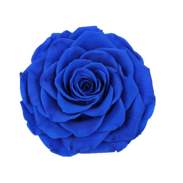 Decorative Preserved Rose Heads Maintain Natural Beauty & Colour For A Long Time