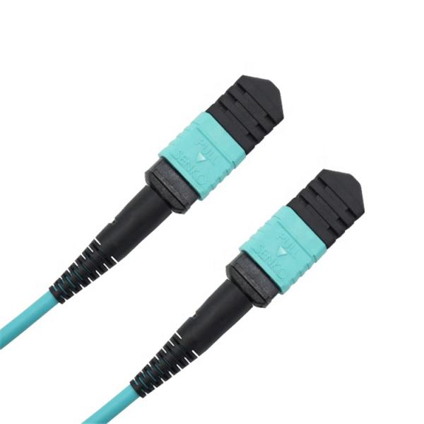 Professional Manufacturer 1 meter 12 cores  Fiber Optic Patchcord OM3-300 female MPO fiber optic patchcord