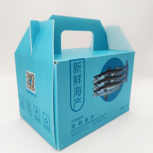 SGS Leiser Corrugated Plastic Storage Boxes Fresh Food Express