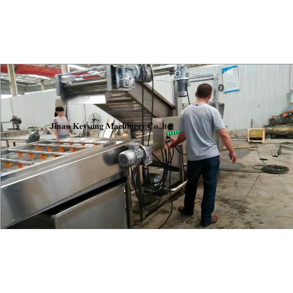 Strawberry Cherry  Fruit Washing Machine , Carrot Commercial Vegetable Washer
