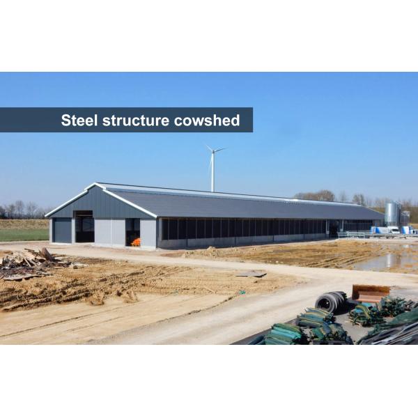 Покрашенные изготовленные коровьи сараи Стальная конструкция Конструкция для конюшен