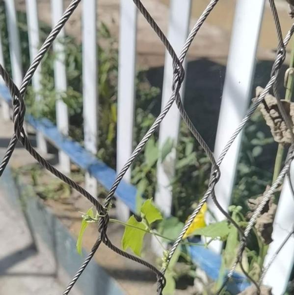 316 Flexible Stainless Steel Wire Cable Rope Mesh Net for Plant Green Climb Wall
