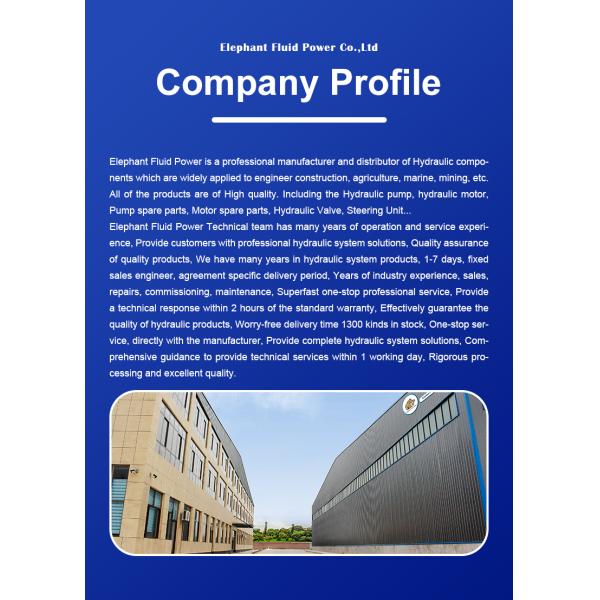 Rexroth Hydraulic Piston Pump Spare Parts A10VNO8553 A10VSO A10VO A10VG