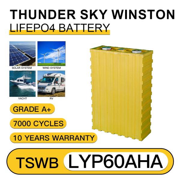 Renewable Thunder Sky TSWB-LYP60AHA Winston 3.2V 60AH Fast Charging Ev Power Battery for Electric Golf Trolley