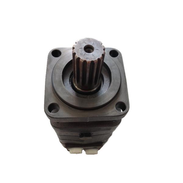 Danfoss Hydraulic Pump OMS315151F0548 High Efficiency Performance Low Noise Energy Savin