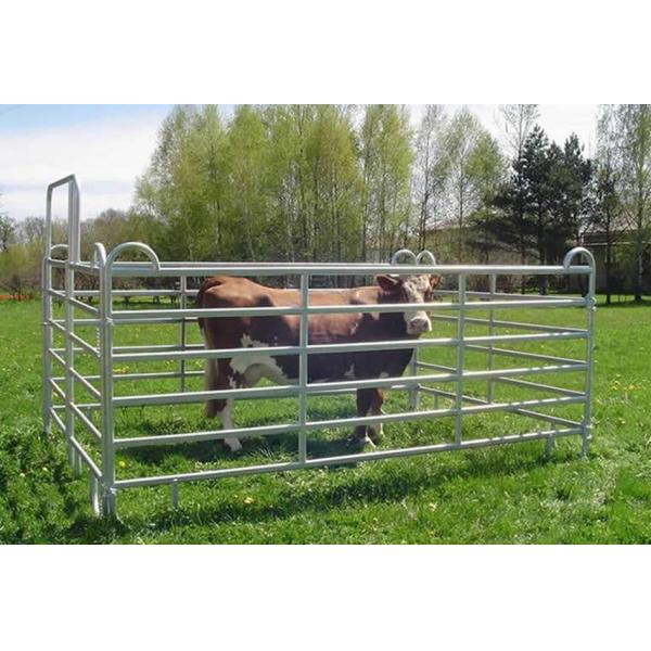 Horse 6 Bars Galvanized 30*60mm Corral Panel Fence