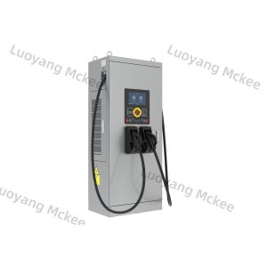 High Power DC EV Charger Public Parking EV Charging Station Dual Port DC Fast Charger