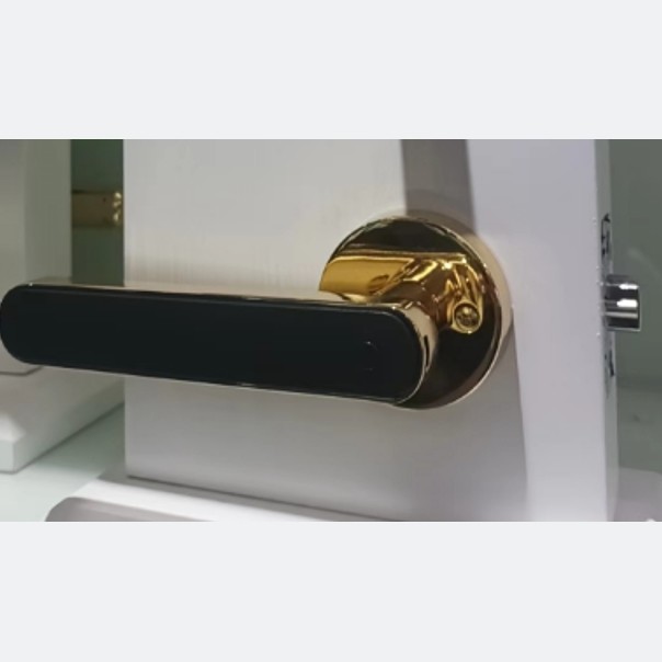 OEM ODM Push Pull Door Lock Digital Wifi Keyless Entry Door Lock (ОМД) Сдвигающийся дверной замок