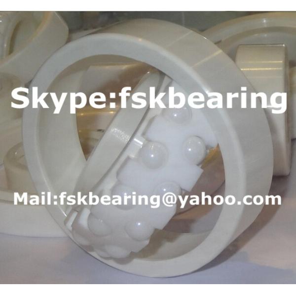 Isolated 1205 ZrO2 Full Ceramic Self Aligning Ball Bearing Two Row