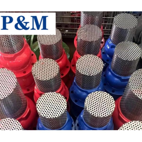 DN100 PN16 GGG50 cast iron flanged foot valve