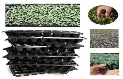 Semente que brota a planta de berçário de 144 células das bandejas plásticas da germinação
