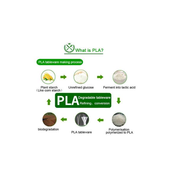 Kraft Paper Box Packaging Sustainable Cpla Cornstarch Plastic Cutlery Set with Napkin