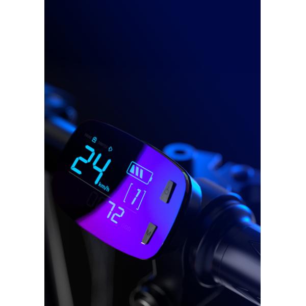 14 Inch Small-sized Driving Booster Battery Folding Electric Bicycle Bike Lithium Battery Ce LCD Aluminum Alloy