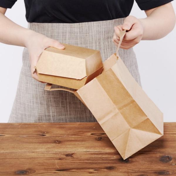 250gsm 300gsm Biodegradable Disposable Tableware Brown Paper Bags With Handles