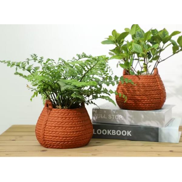 6 Inch Small Terracotta Pots For Indoor Plants Live