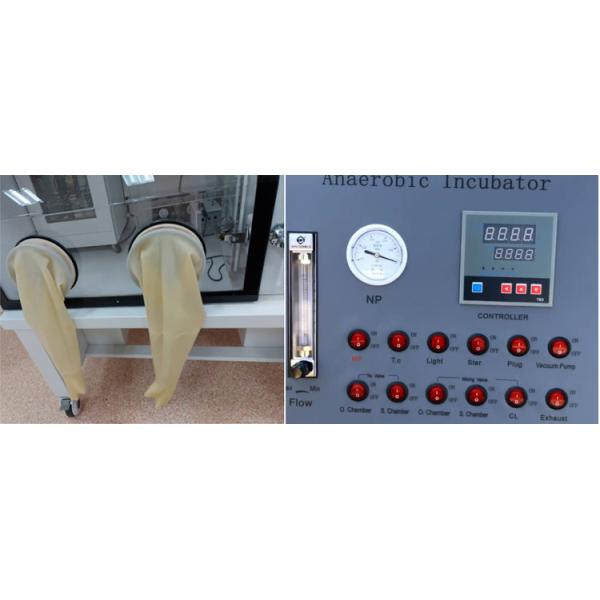 HYQX-I Microbes Laboratory Anaerobic Incubator Workstation LCD Display