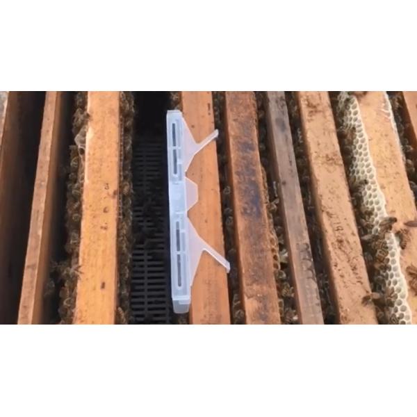 Белое пластиковое оборудование улья пчелы ловушки жука без Посион и пестицида