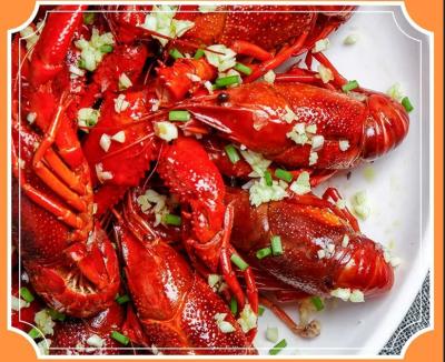 Plastic Bag Spicy Crawfish Seasoning Condiment Chinese Spices For Cooking Seafood