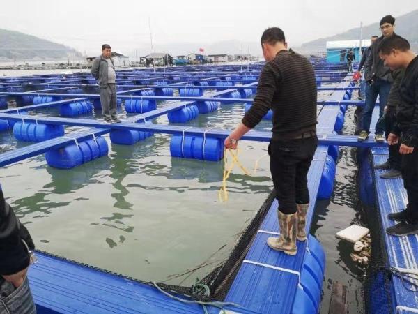 HDPE Pipe Aquaculture Floating Fish Cage Bucket Panel Cage For Inshore Lake Reservoir