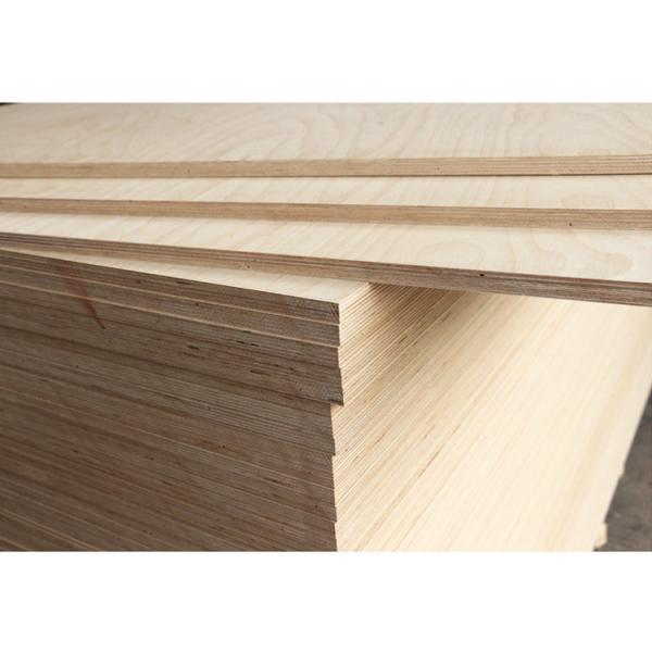 Birch Aspen Pine Plywood X 12 plywood Factory Price White modern interior