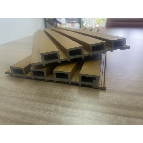PE Panel Custom PVC Wood-Plastic Mold Solutions The Perfect Choice for Creative Buyers