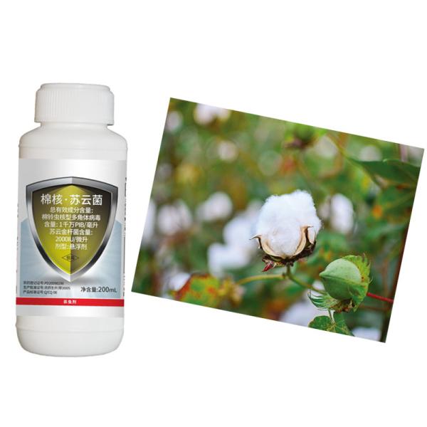 Органический HaNPV & Bt WP Пахта Пестициды для культур кукуруза армейский червь кукурузные вредители эффективны