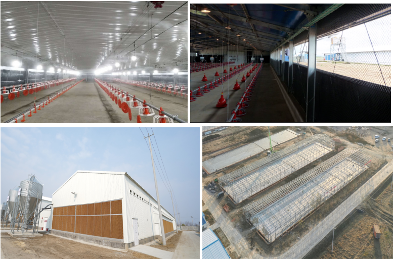 High-strength steel prefabricated poultry house, fast construction & cost-effective