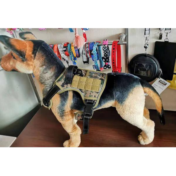 Полиэстер губки цвета регулируемой стойки станины собаки таксы небольшой Multi