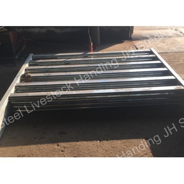 Горячей труба скотного двора загородки металла продажи дешевой гальванизированная панелью использовала поголовье