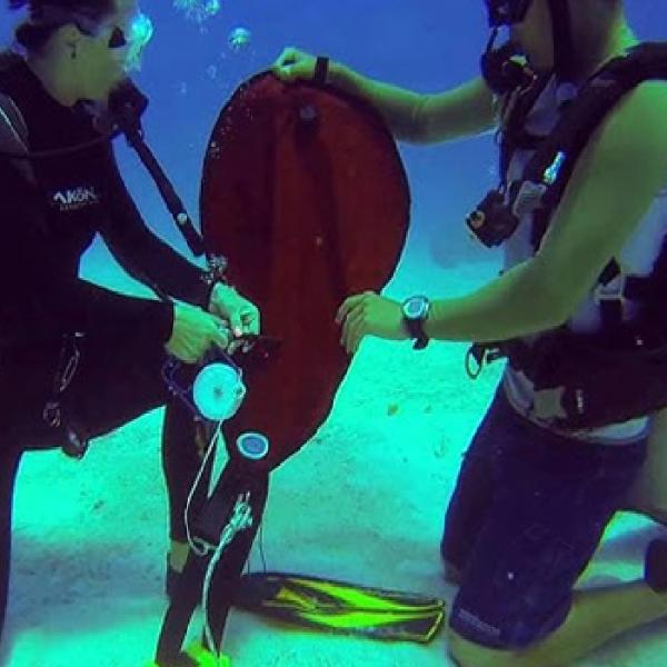 Safety Diving Salvage Under Water Lift Bags For Environmental Protection